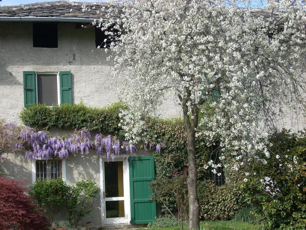 Piantedo B&B L'Isola מראה חיצוני תמונה